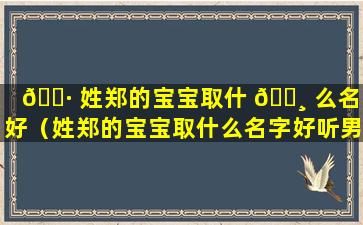 🕷 姓郑的宝宝取什 🌸 么名字好（姓郑的宝宝取什么名字好听男孩）